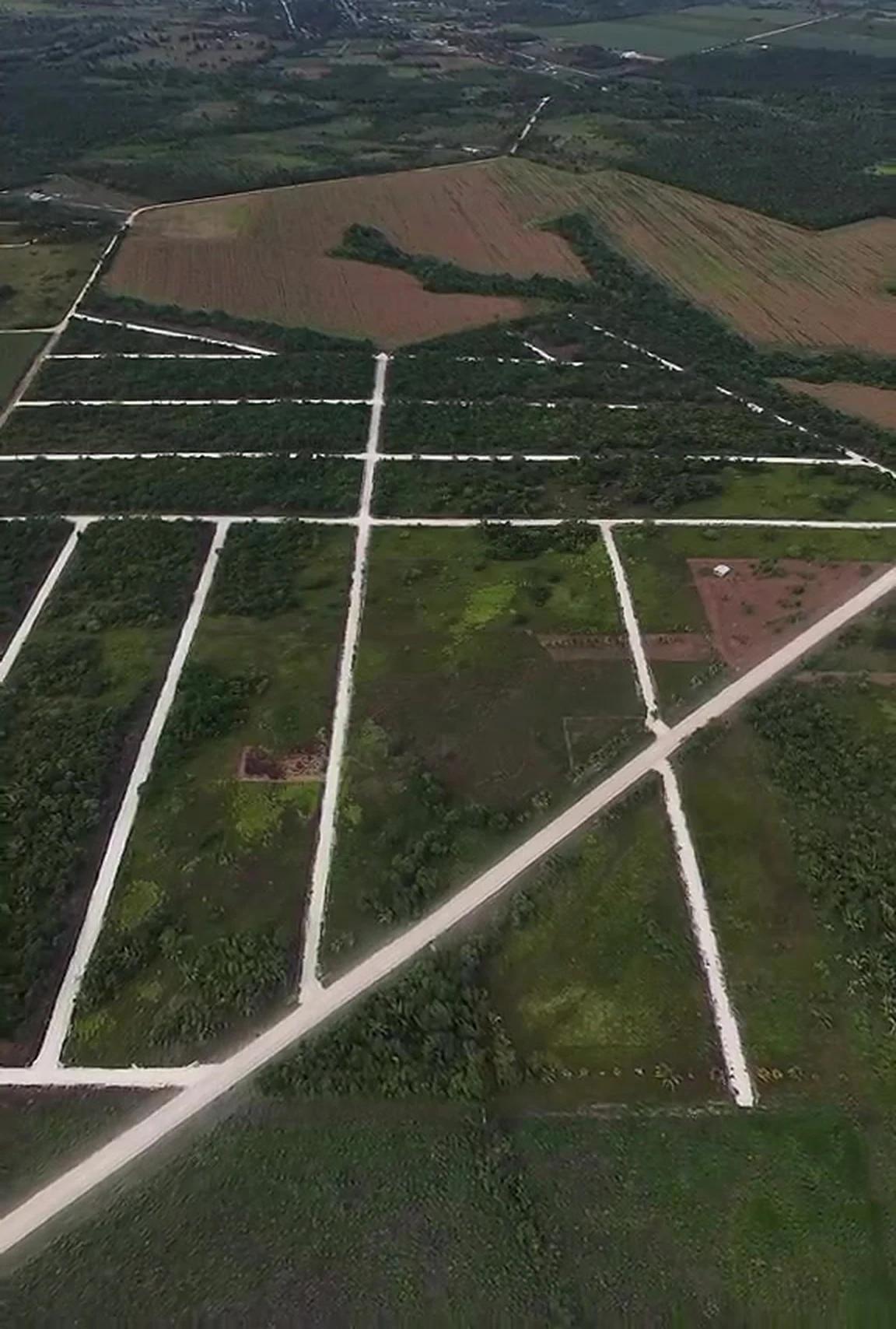 The graded streets of Tranquility Residence from the air